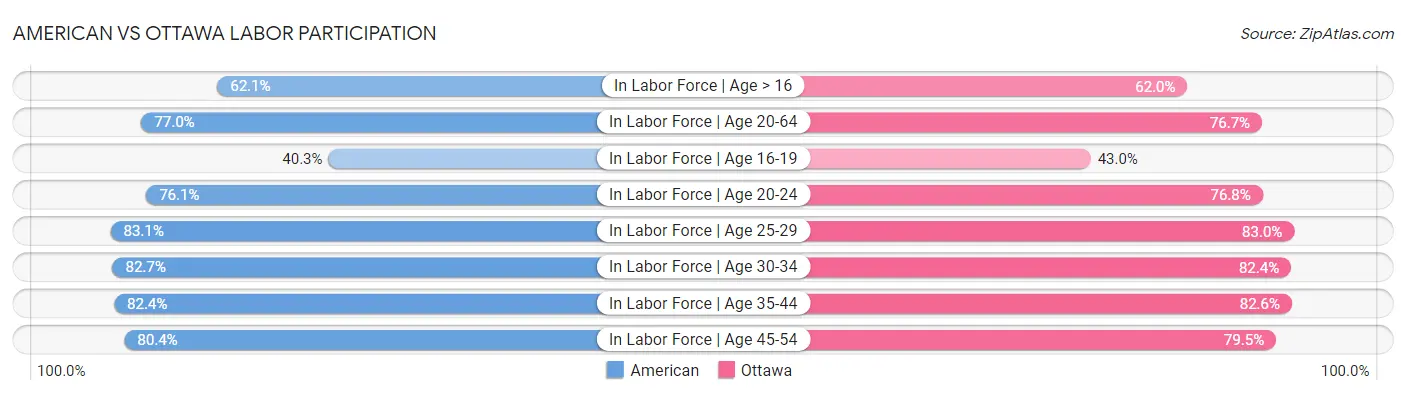 American vs Ottawa Labor Participation