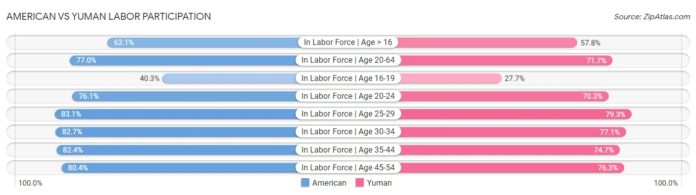 American vs Yuman Labor Participation