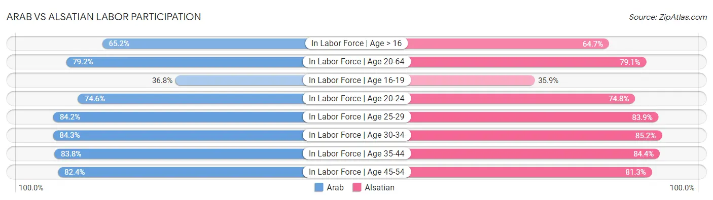 Arab vs Alsatian Labor Participation