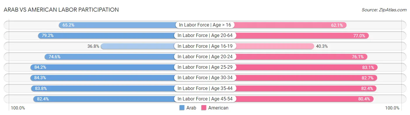 Arab vs American Labor Participation