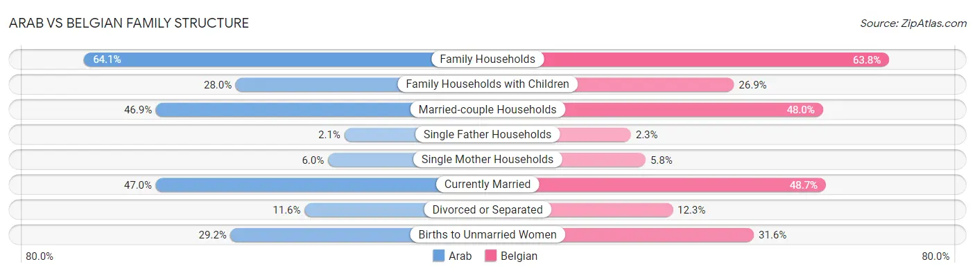 Arab vs Belgian Family Structure