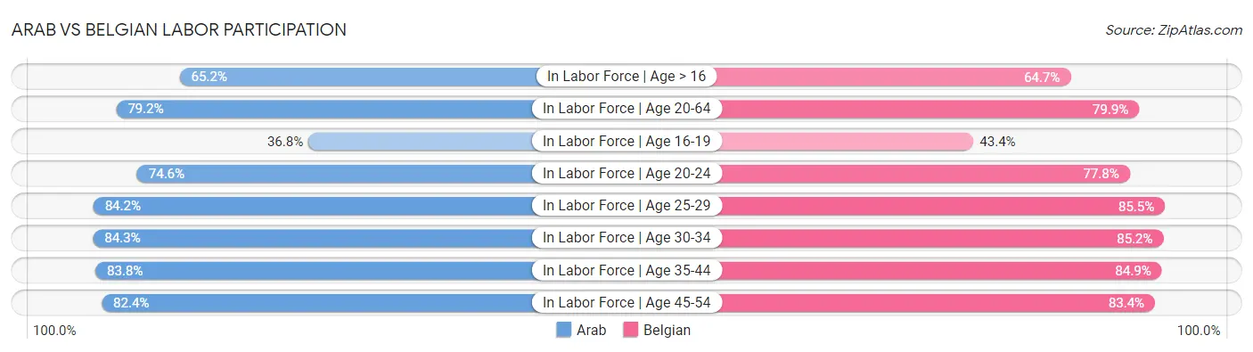 Arab vs Belgian Labor Participation