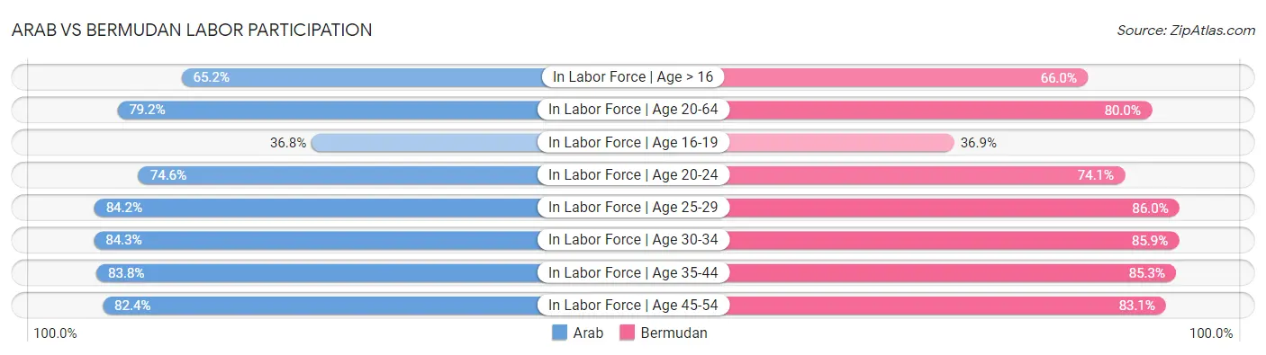 Arab vs Bermudan Labor Participation