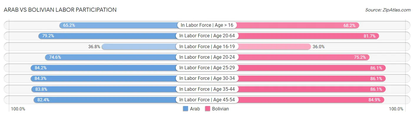 Arab vs Bolivian Labor Participation