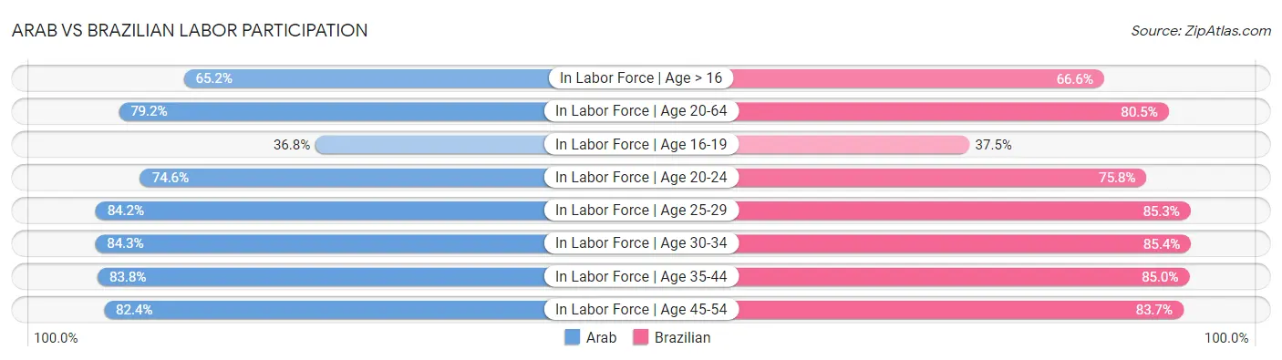 Arab vs Brazilian Labor Participation