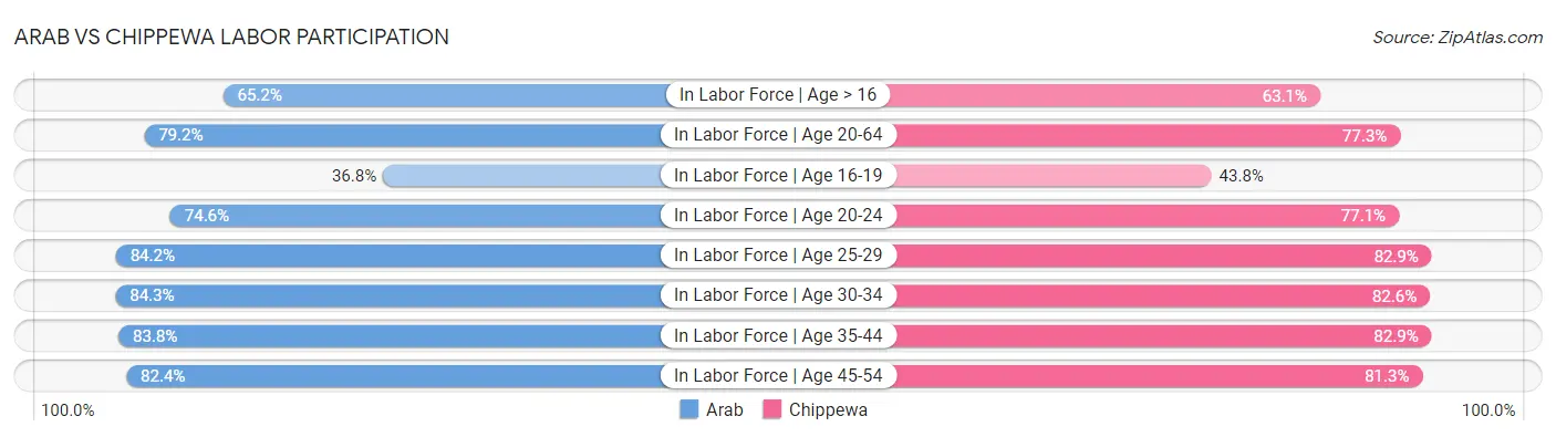 Arab vs Chippewa Labor Participation