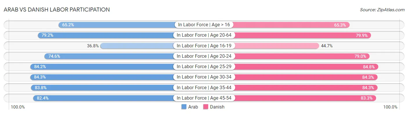 Arab vs Danish Labor Participation