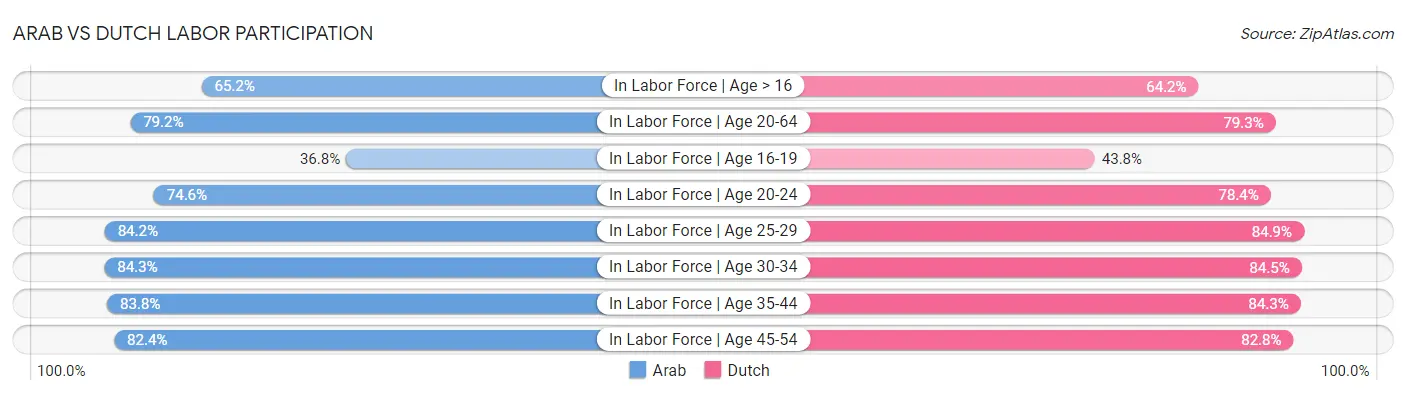 Arab vs Dutch Labor Participation