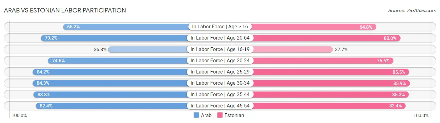 Arab vs Estonian Labor Participation