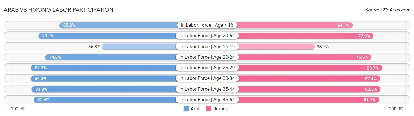 Arab vs Hmong Labor Participation