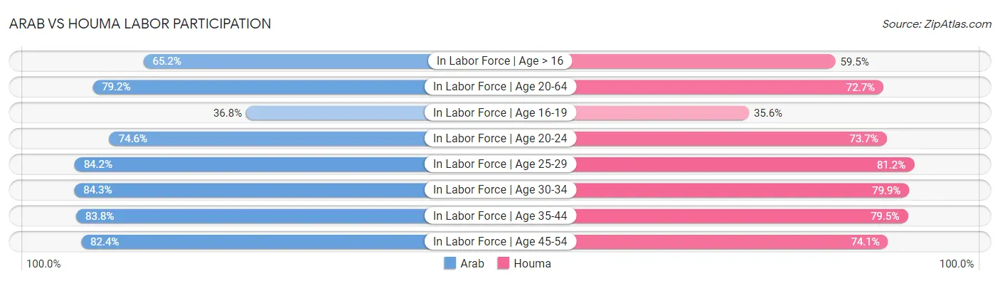 Arab vs Houma Labor Participation