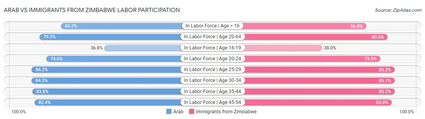 Arab vs Immigrants from Zimbabwe Labor Participation