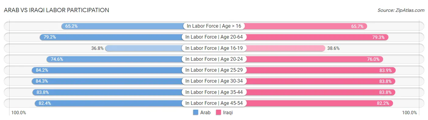 Arab vs Iraqi Labor Participation
