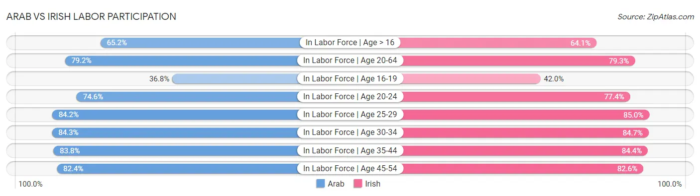 Arab vs Irish Labor Participation