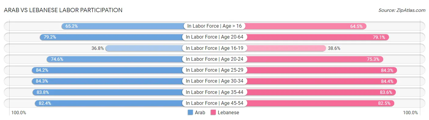 Arab vs Lebanese Labor Participation