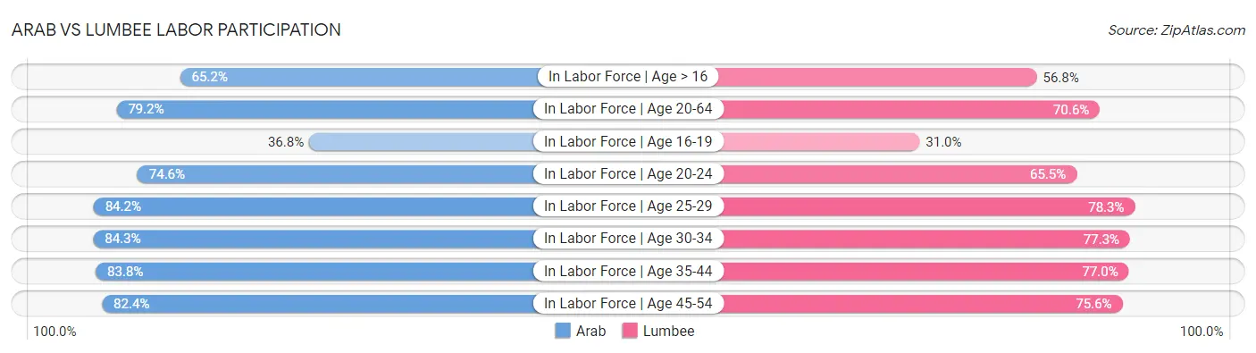 Arab vs Lumbee Labor Participation