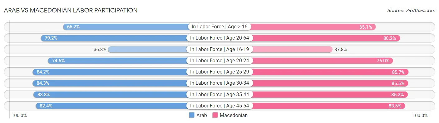 Arab vs Macedonian Labor Participation