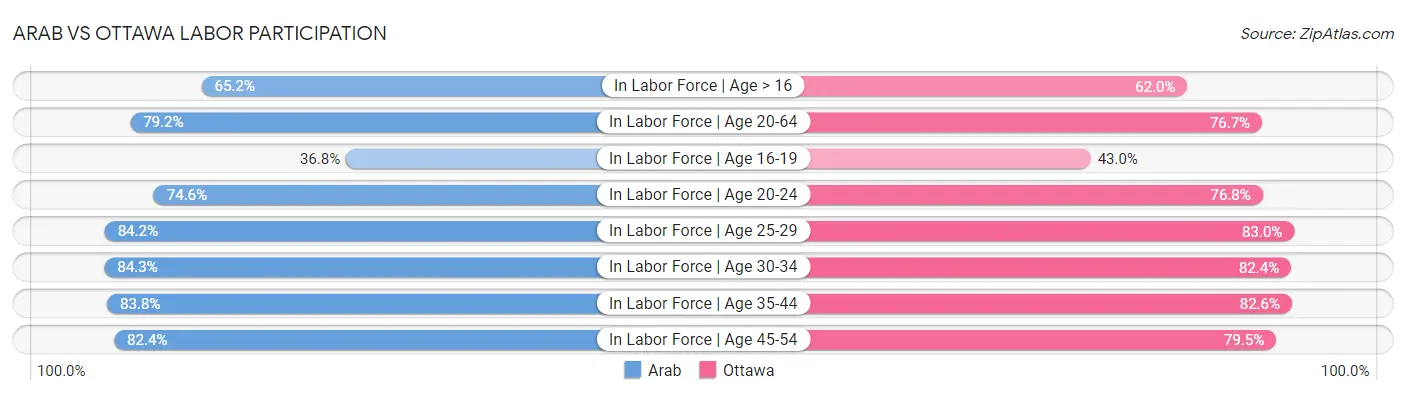 Arab vs Ottawa Labor Participation