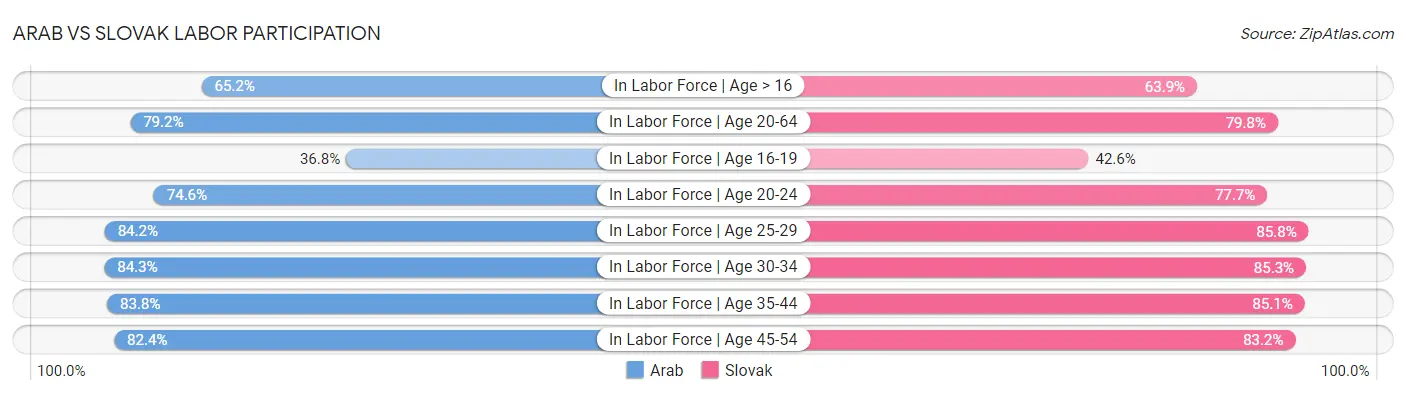 Arab vs Slovak Labor Participation