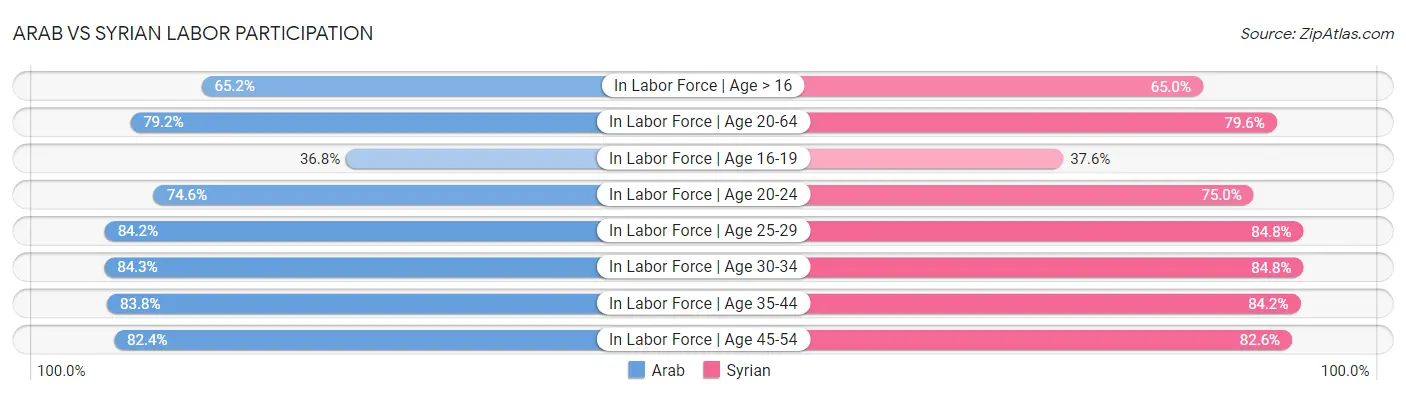 Arab vs Syrian Labor Participation