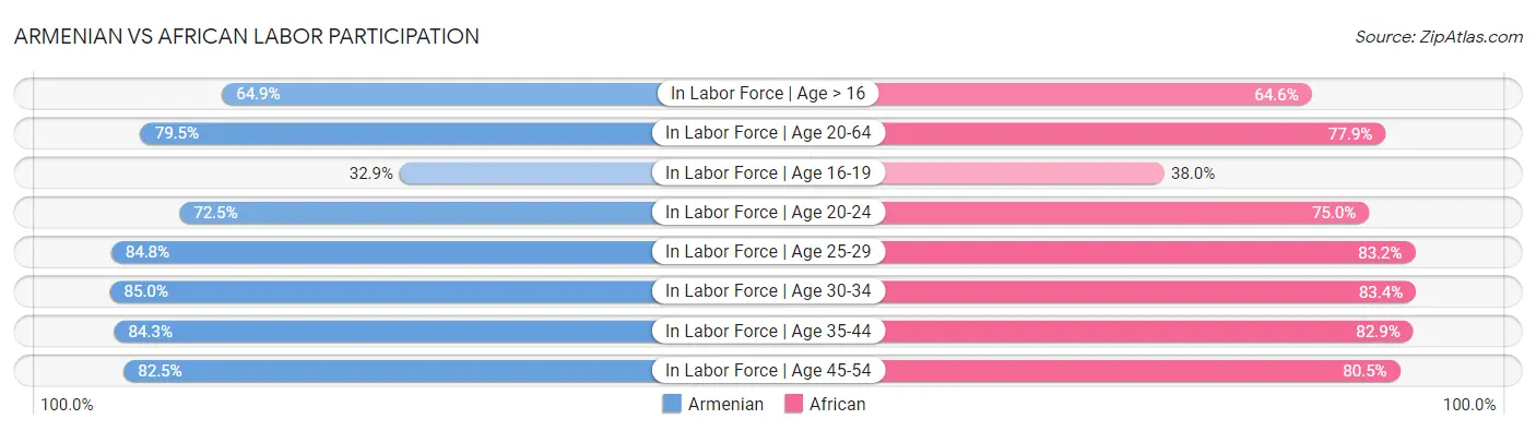 Armenian vs African Labor Participation