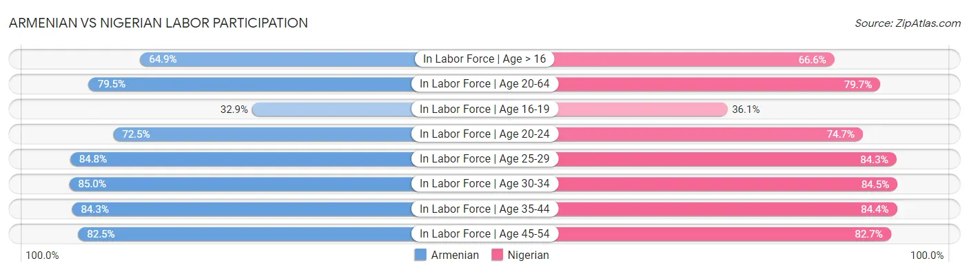Armenian vs Nigerian Labor Participation
