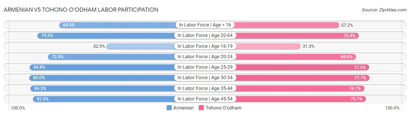 Armenian vs Tohono O'odham Labor Participation