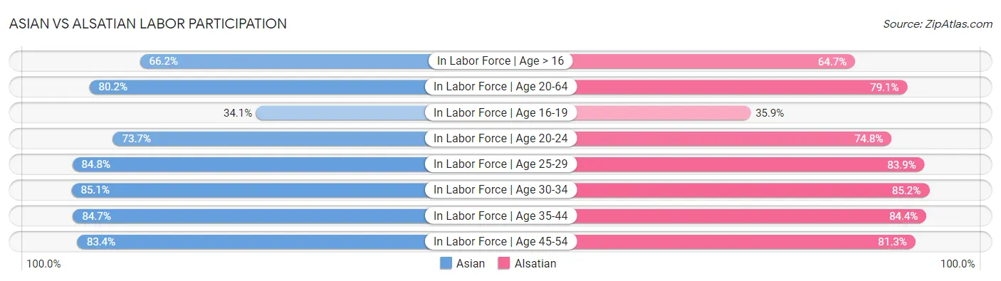 Asian vs Alsatian Labor Participation