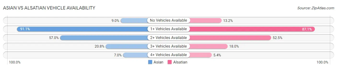 Asian vs Alsatian Vehicle Availability