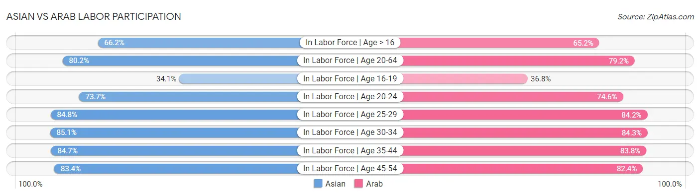 Asian vs Arab Labor Participation