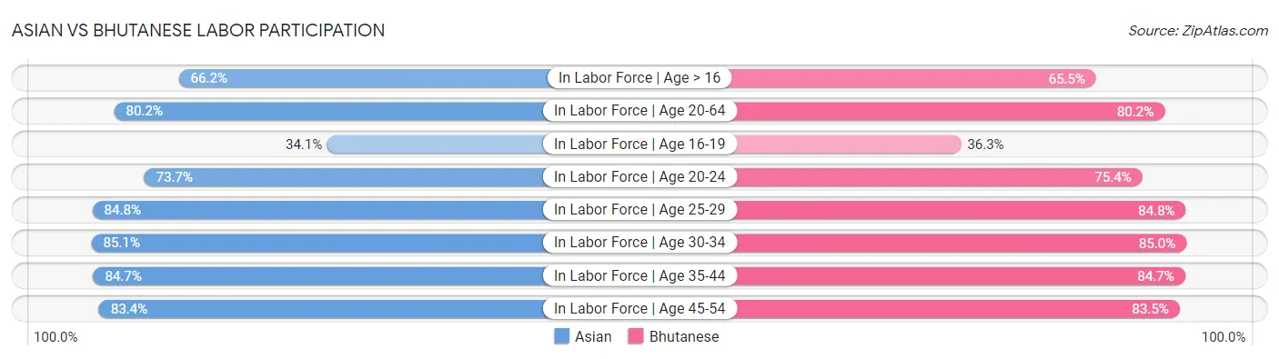 Asian vs Bhutanese Labor Participation