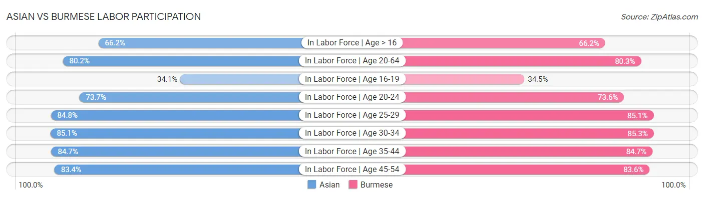 Asian vs Burmese Labor Participation
