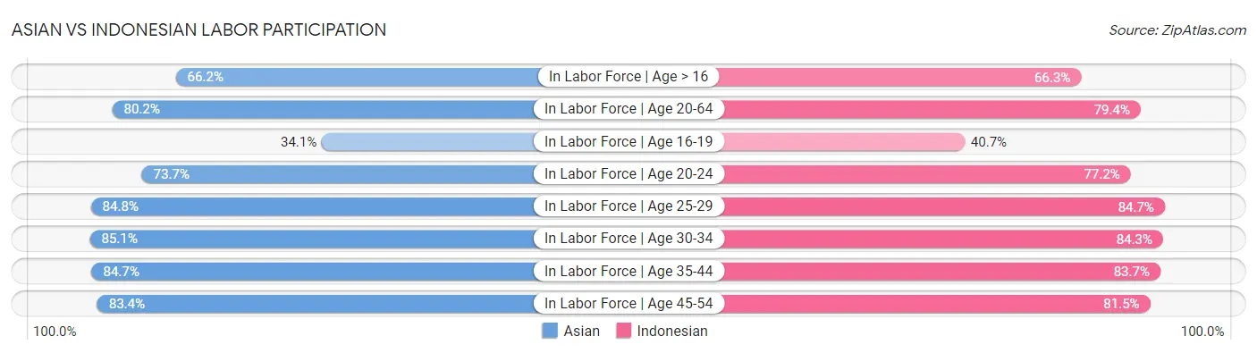 Asian vs Indonesian Labor Participation