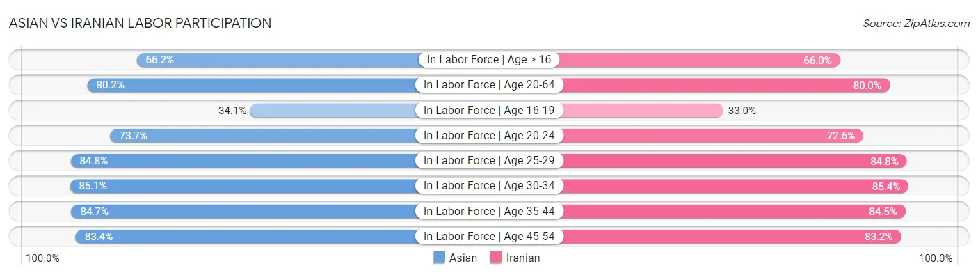 Asian vs Iranian Labor Participation