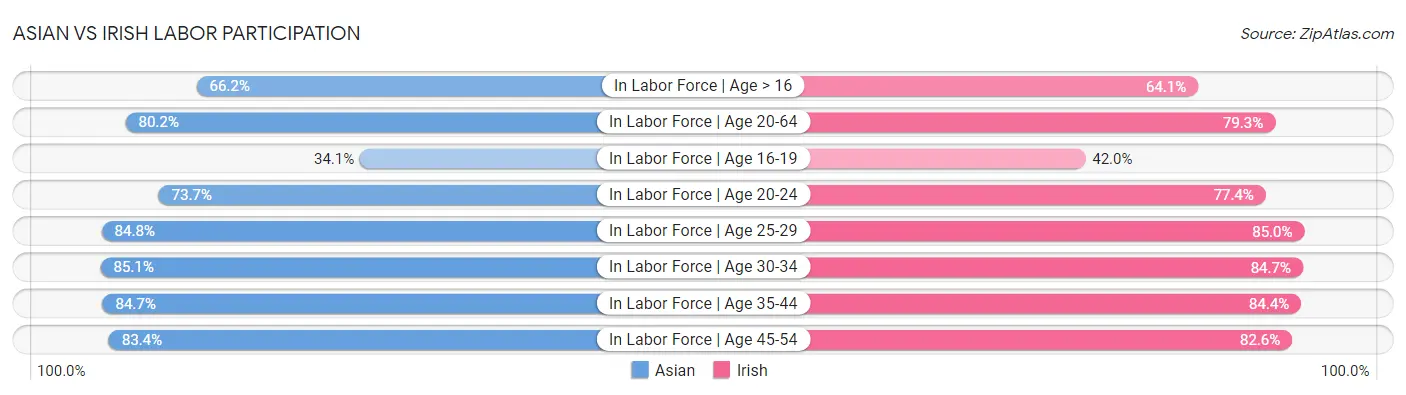 Asian vs Irish Labor Participation