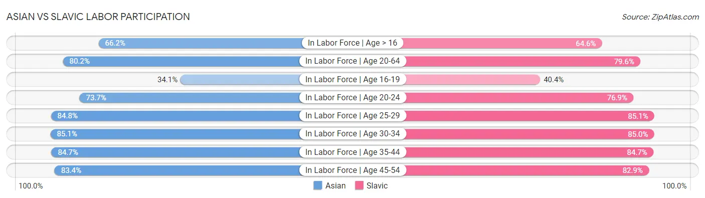 Asian vs Slavic Labor Participation