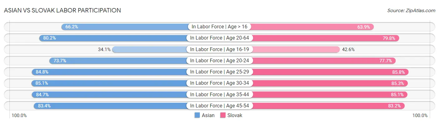Asian vs Slovak Labor Participation