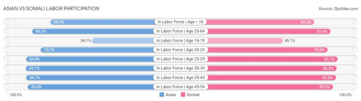 Asian vs Somali Labor Participation