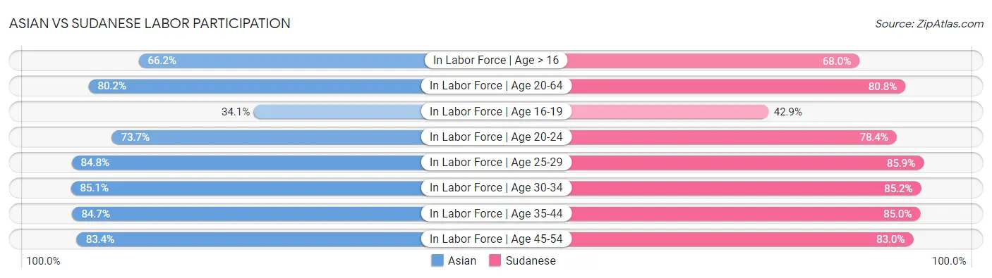 Asian vs Sudanese Labor Participation