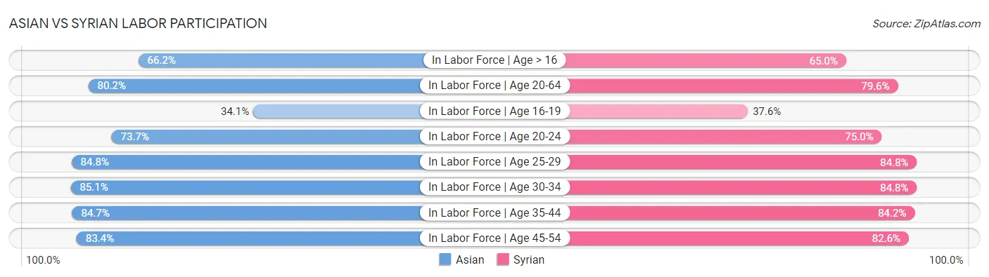 Asian vs Syrian Labor Participation