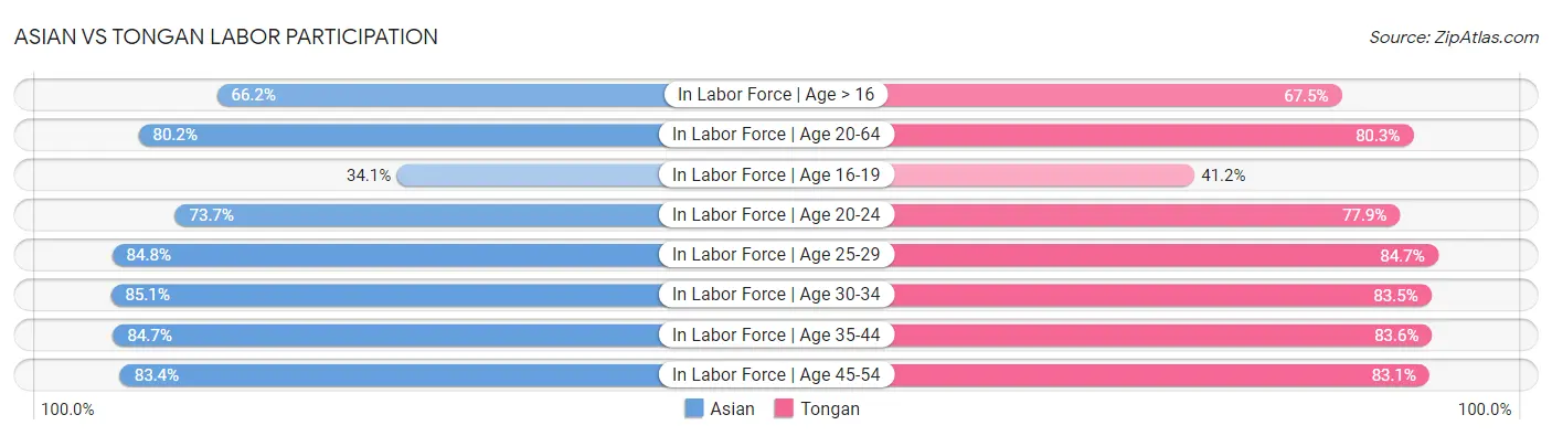 Asian vs Tongan Labor Participation