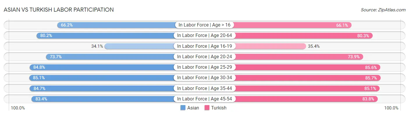 Asian vs Turkish Labor Participation