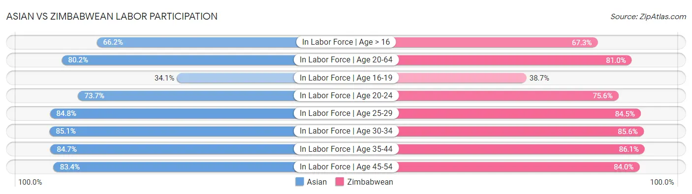 Asian vs Zimbabwean Labor Participation