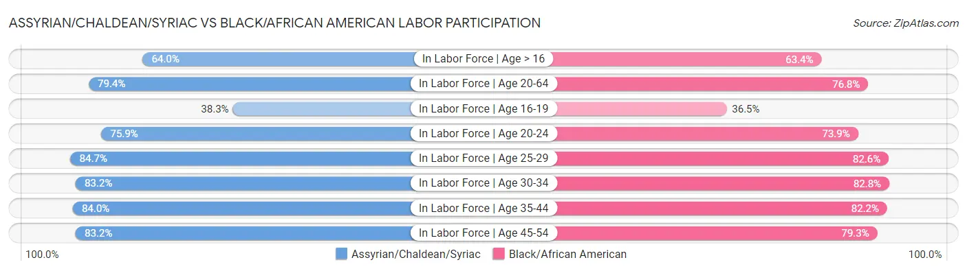 Assyrian/Chaldean/Syriac vs Black/African American Labor Participation