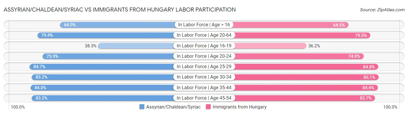 Assyrian/Chaldean/Syriac vs Immigrants from Hungary Labor Participation