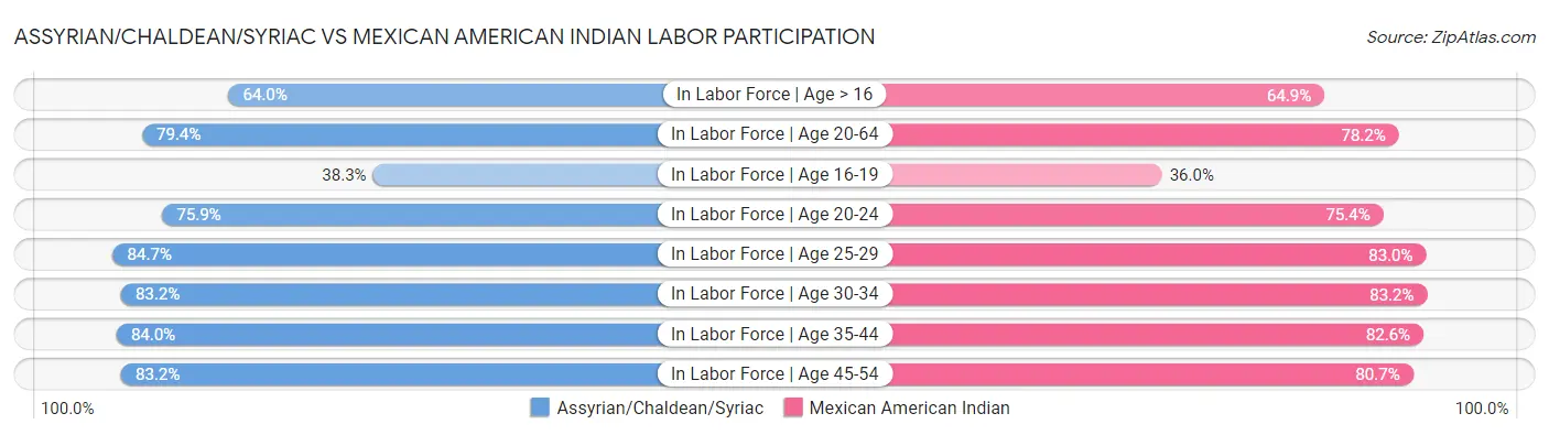 Assyrian/Chaldean/Syriac vs Mexican American Indian Labor Participation