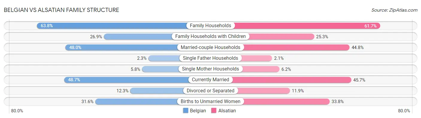 Belgian vs Alsatian Family Structure