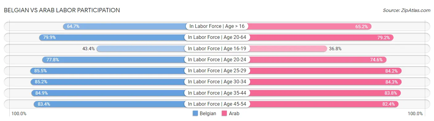 Belgian vs Arab Labor Participation