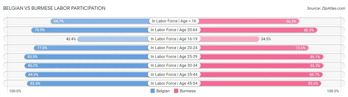 Belgian vs Burmese Labor Participation
