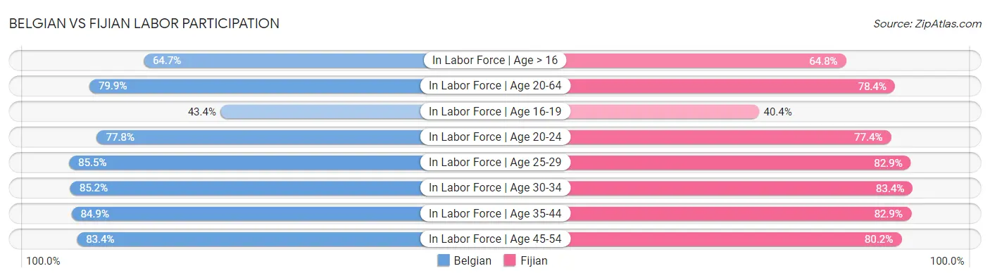Belgian vs Fijian Labor Participation